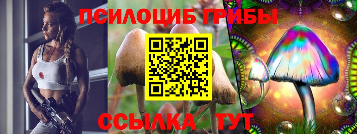 Галлюциногенные грибы Cubensis Гусев