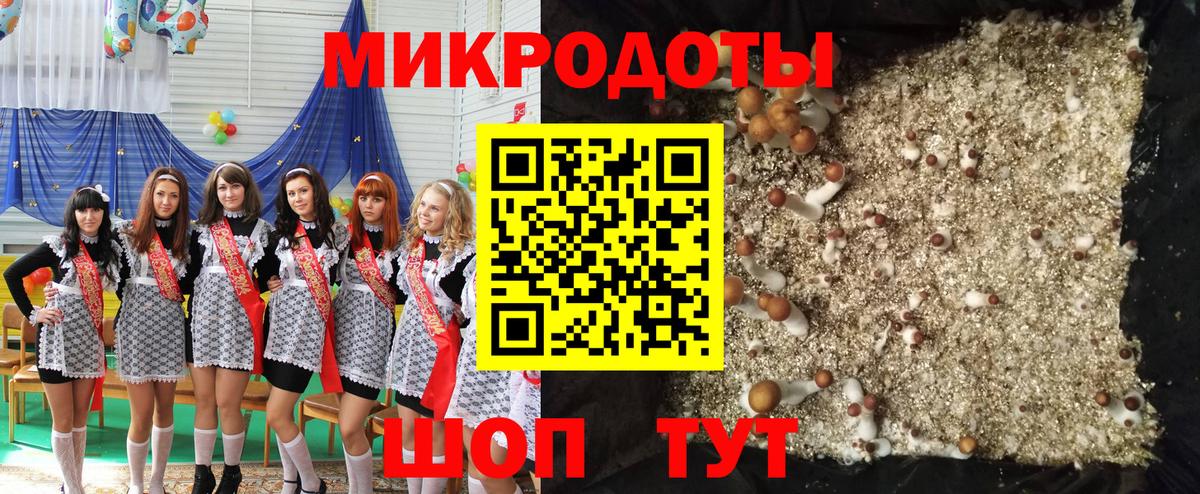 Гусев  Галлюциногенные грибы Magic Shrooms  Вход с VPN 